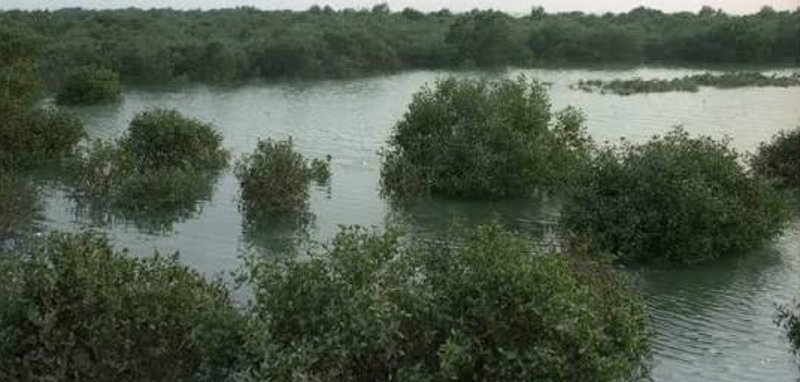 حرای نایبند