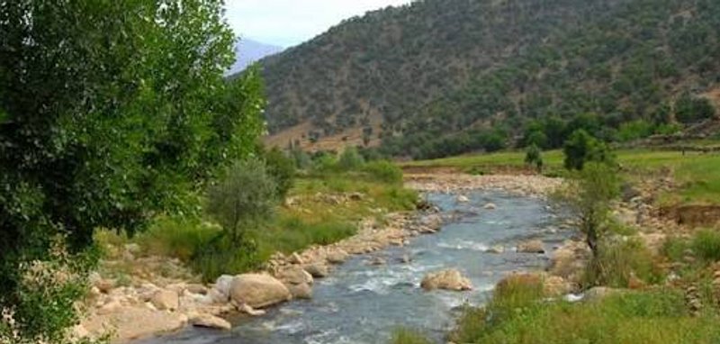تنگ صیاد