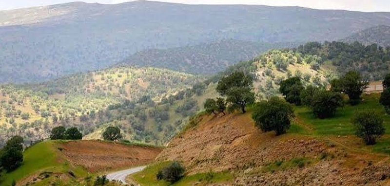تنگ صیاد