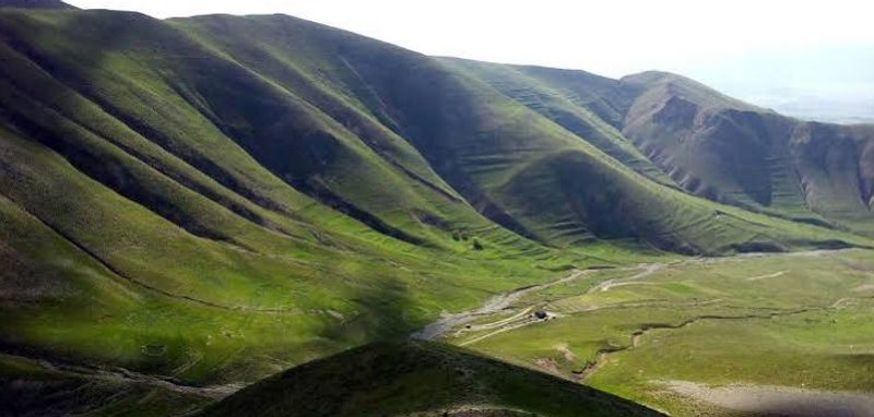 کیامکی