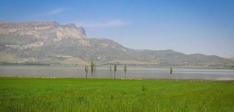 ارژن و پریشان