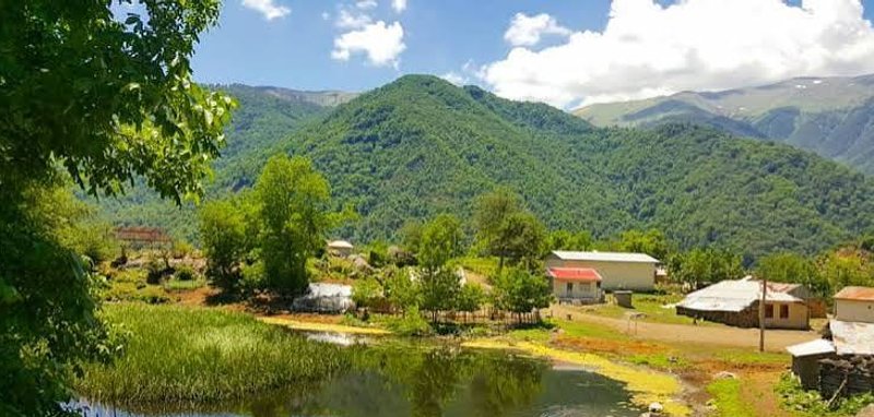لیسار
