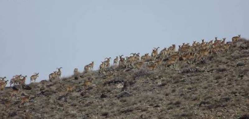 موته