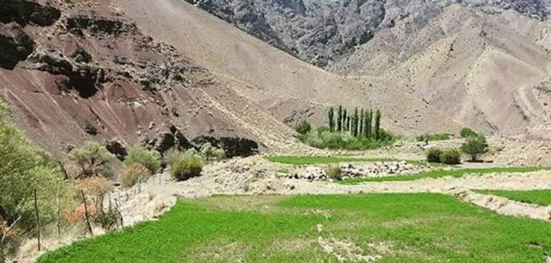 بیدوییه