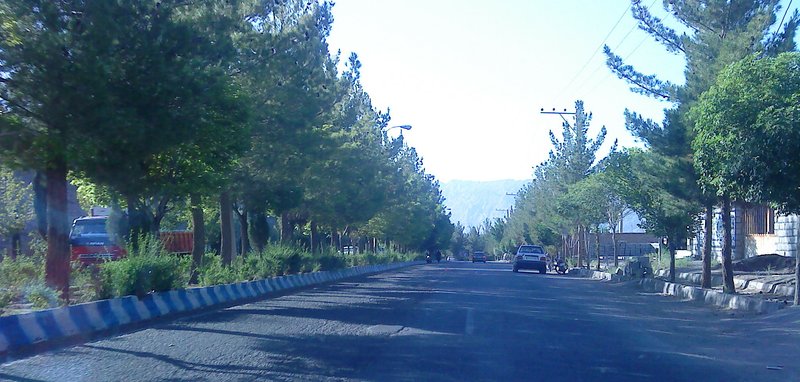 ارگ راین