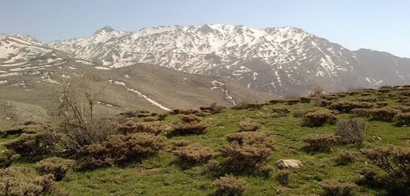 بیستون