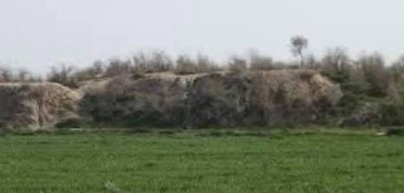 چغابنوت