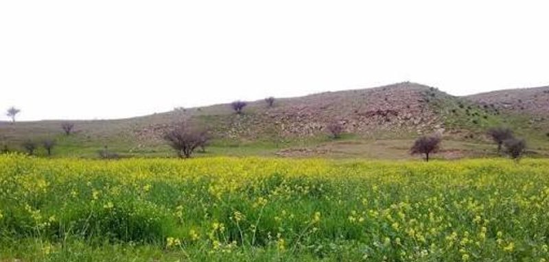 هفتشهیدان