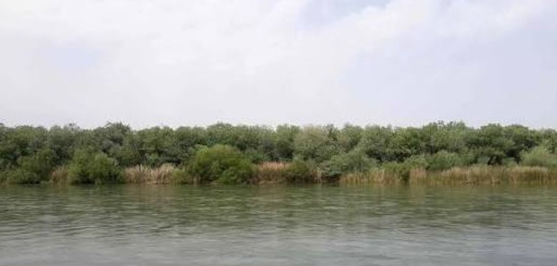 کرخه