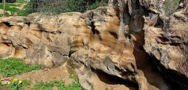 محوطه صحرای بلبل