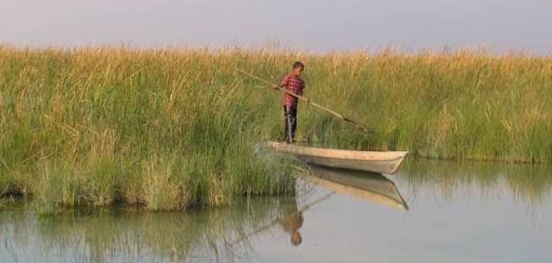 شادگان