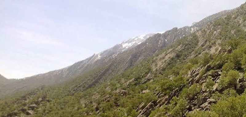 کوه خامین