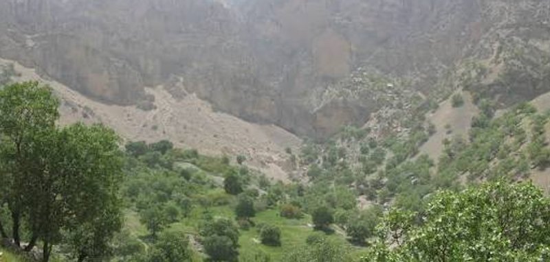 سولک