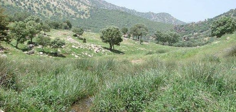 بلس‌کوه