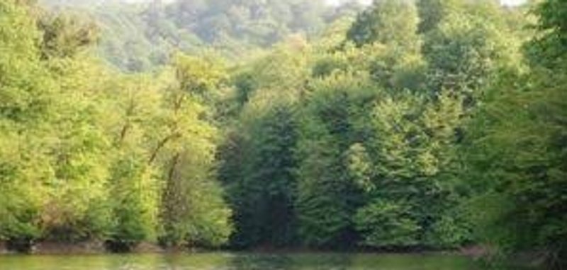خیبوس و انجیل‌سی