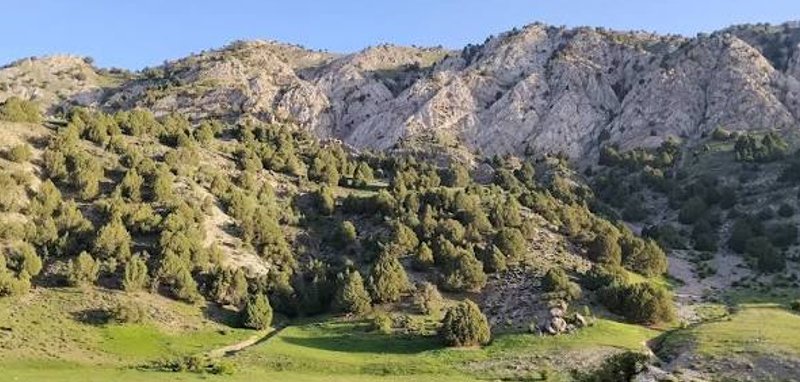 ارس سیستان