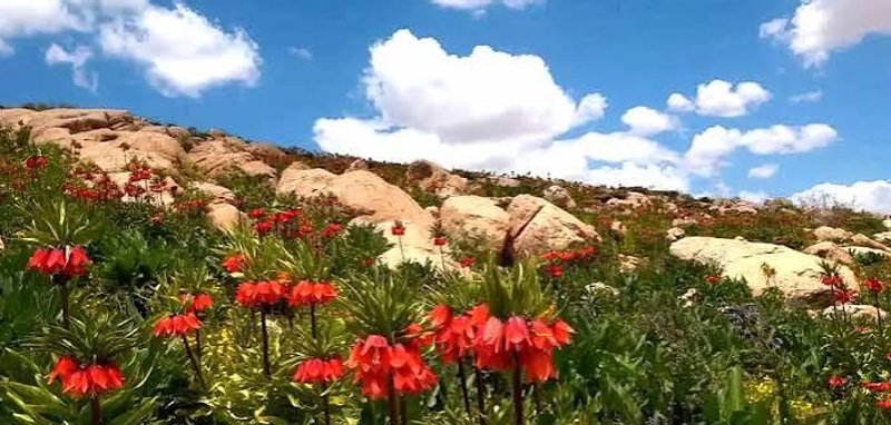 میاندشت