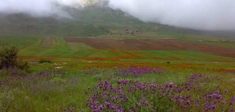سالوک