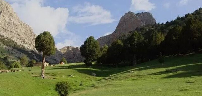 تندوره