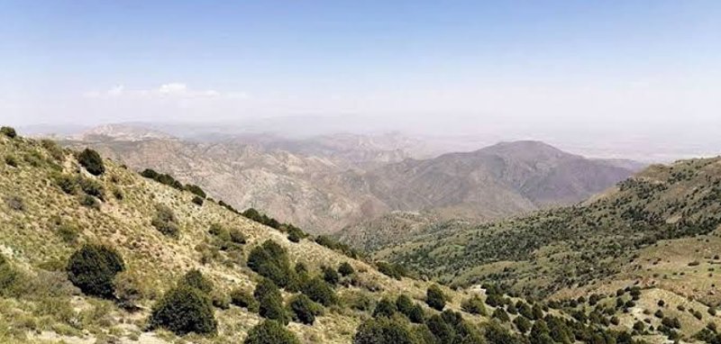 سالوک