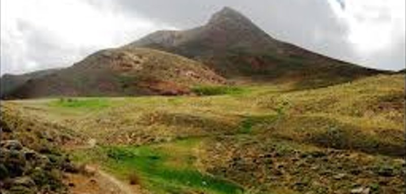 ساریگل