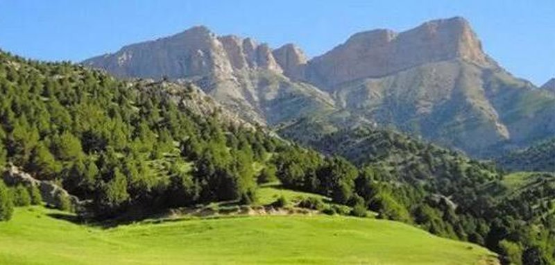 تندوره