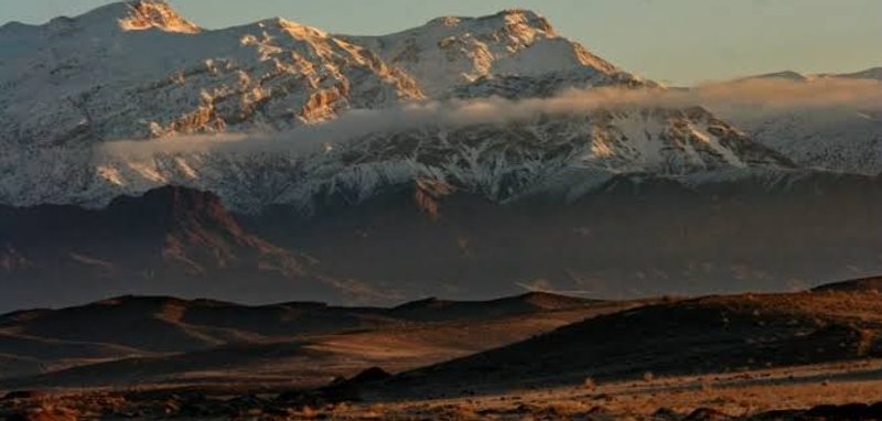 ساریگل