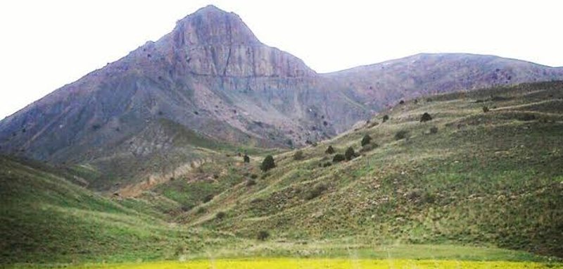 ساریگل