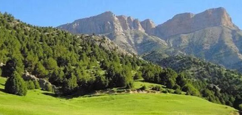 تندوره