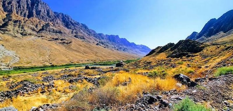 مراکان